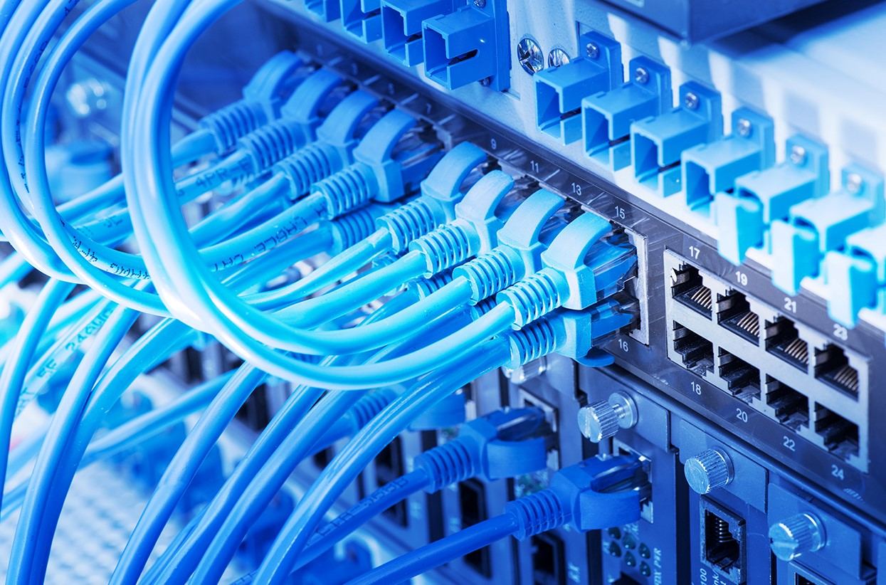 Blue network cables connected to a patch panel